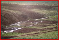 Vánoční trénink v údolíčku 26.12.2009
